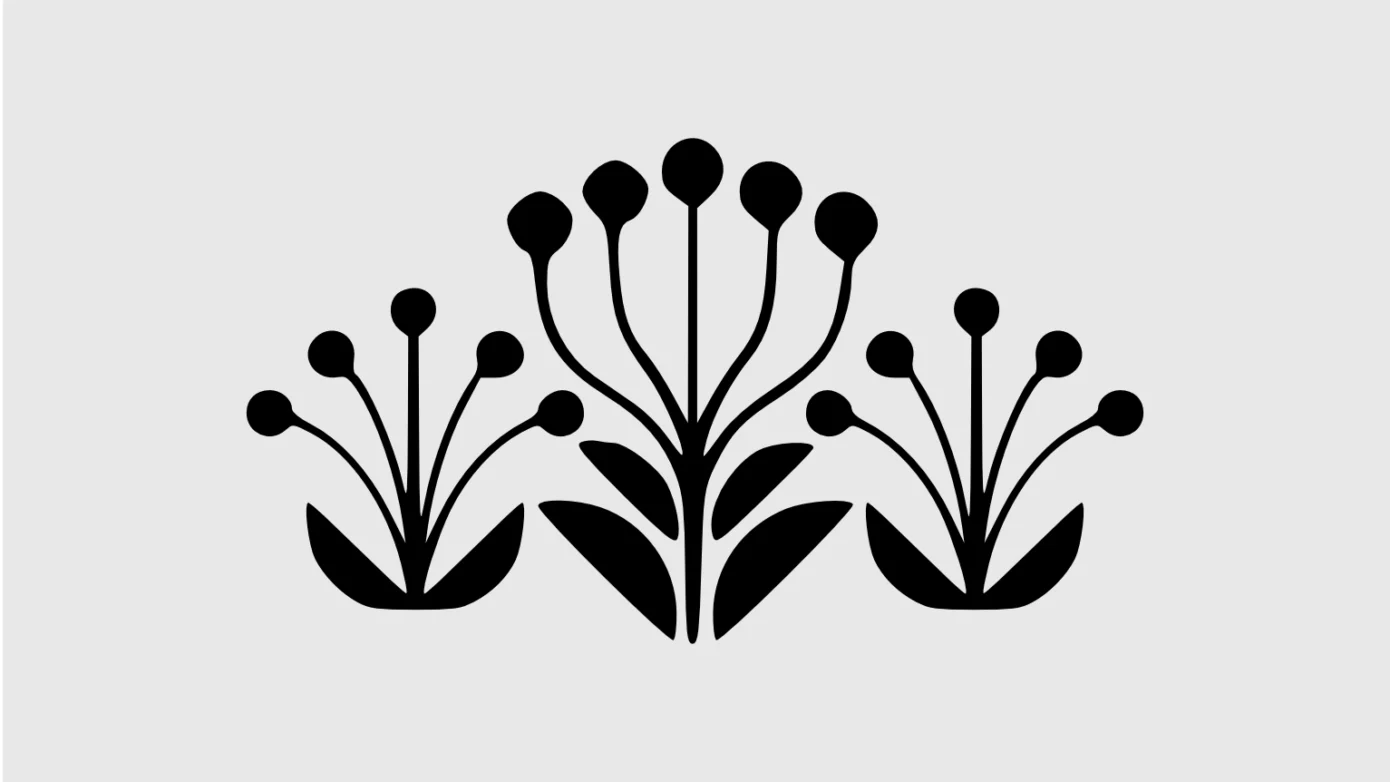 sustainable branding